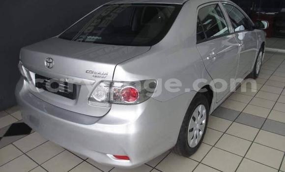 Acheter Occasion Voiture Toyota Corolla Gris à Windhoek, Namibie Acheter Occasion Voiture Toyota Corolla Gris à Windhoek, Namibie