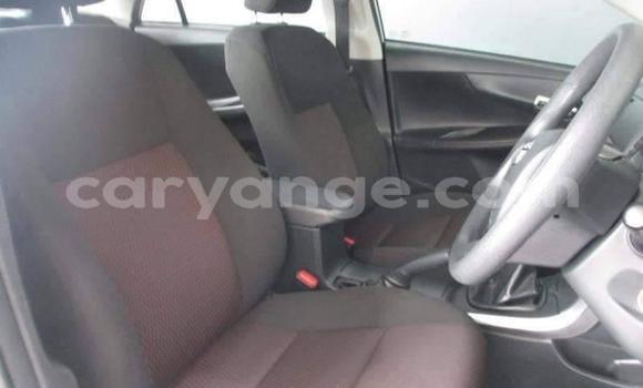 Acheter Occasion Voiture Toyota Corolla Gris à Windhoek, Namibie Acheter Occasion Voiture Toyota Corolla Gris à Windhoek, Namibie