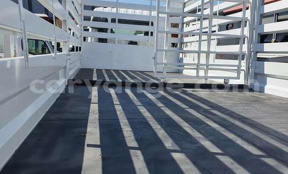 Acheter Occasion Utilitaire Isuzu FTR 850 Blanc à Windhoek, Namibie Acheter Occasion Utilitaire Isuzu FTR 850 Blanc à Windhoek, Namibie