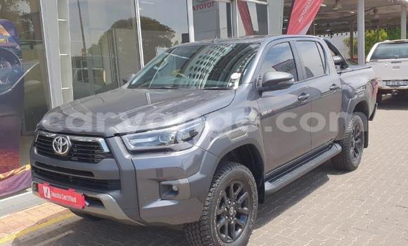 Acheter Occasion Voiture Toyota Hilux Gris à Karasburg, Karas