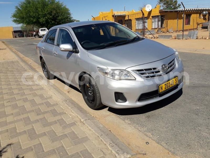 Big with watermark 46184602 1930726380315617 8911647240406171648 n