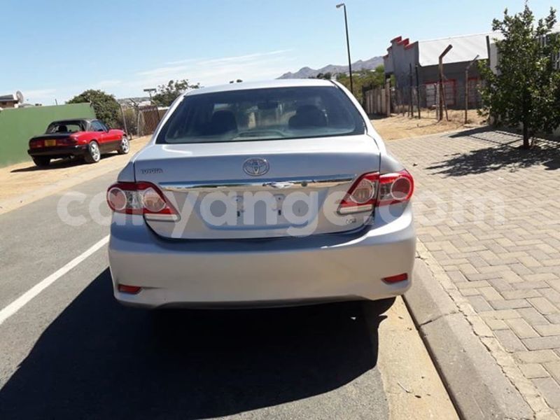 Big with watermark 46384960 10215822020417582 3570141128999043072 n