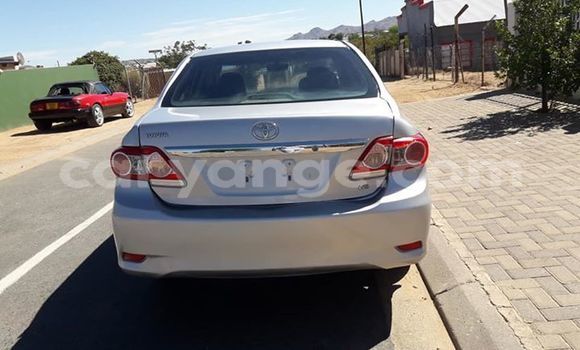 Buy Used Toyota Corolla Silver Car in Windhoek in Namibia Buy Used Toyota Corolla Silver Car in Windhoek in Namibia
