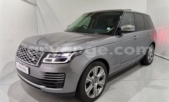 Acheter Occasion Voiture Land Rover Range Rover Gris à Karasburg, Karas