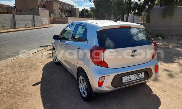 Buy Used Kia Picanto Silver Car in Windhoek in Namibia Buy Used Kia Picanto Silver Car in Windhoek in Namibia