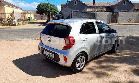 Buy Used Kia Picanto Silver Car in Windhoek in Namibia Buy Used Kia Picanto Silver Car in Windhoek in Namibia