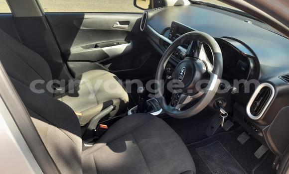 Buy Used Kia Picanto Silver Car in Windhoek in Namibia Buy Used Kia Picanto Silver Car in Windhoek in Namibia