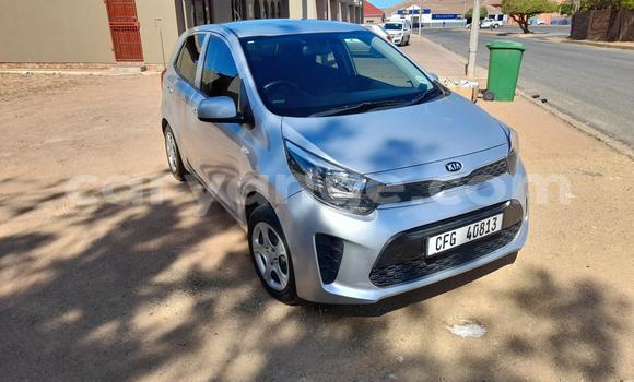 Buy Used Kia Picanto Silver Car in Windhoek in Namibia Buy Used Kia Picanto Silver Car in Windhoek in Namibia