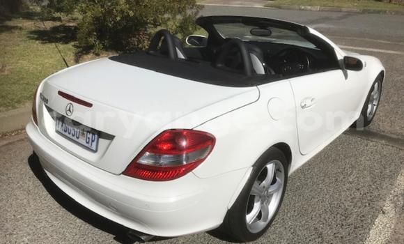 Acheter Occasion Voiture Mercedes-Benz SLK–Class Blanc à Windhoek, Namibie Acheter Occasion Voiture Mercedes-Benz SLK–Class Blanc à Windhoek, Namibie