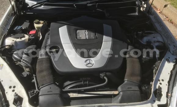 Acheter Occasion Voiture Mercedes-Benz SLK–Class Blanc à Windhoek, Namibie Acheter Occasion Voiture Mercedes-Benz SLK–Class Blanc à Windhoek, Namibie