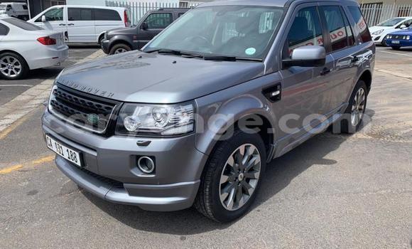 Buy Used Land Rover Freelander Beige Car in Windhoek in Namibia