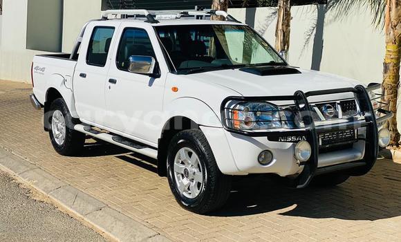 Buy Used Nissan NP 300 White Car in Windhoek in Namibia
