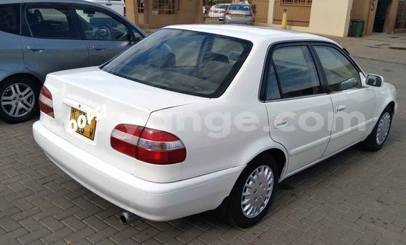 Acheter Occasion Voiture Toyota Corolla Blanc à Windhoek, Namibie Acheter Occasion Voiture Toyota Corolla Blanc à Windhoek, Namibie