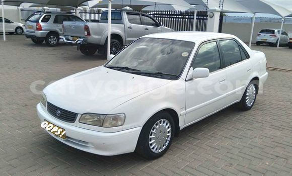 Acheter Occasion Voiture Toyota Corolla Blanc à Windhoek, Namibie Acheter Occasion Voiture Toyota Corolla Blanc à Windhoek, Namibie
