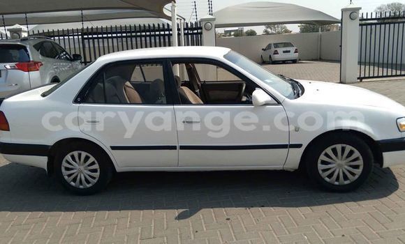 Buy Used Toyota Corolla White Car in Windhoek in Namibia Buy Used Toyota Corolla White Car in Windhoek in Namibia