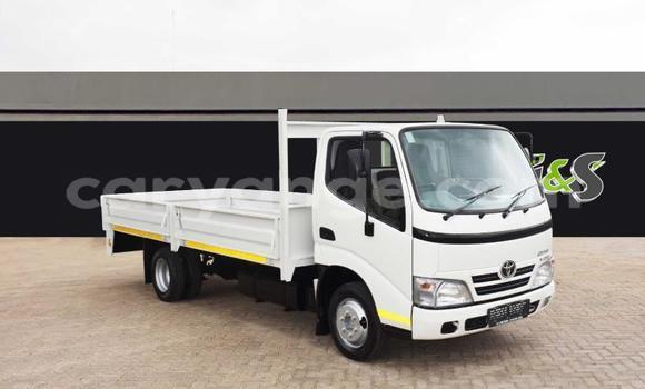 Buy Used Toyota Dyna White Truck in Windhoek in Namibia