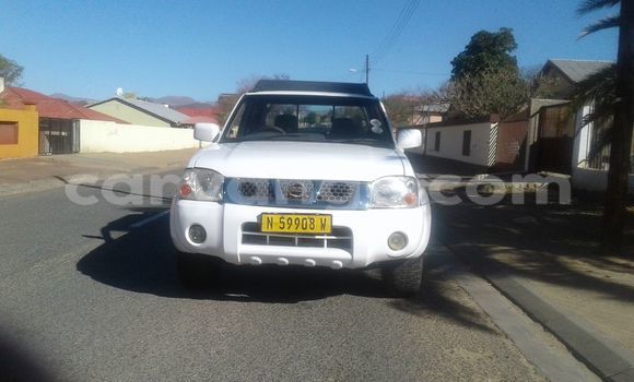 Buy Used Nissan Hardbody White Car in Windhoek in Namibia