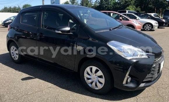 Buy Used Toyota Vitz Black Car in Windhoek in Namibia