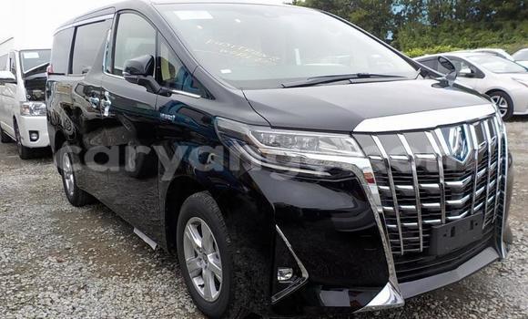 Buy Used Toyota Alphard Black Car in Windhoek in Namibia Buy Used Toyota Alphard Black Car in Windhoek in Namibia