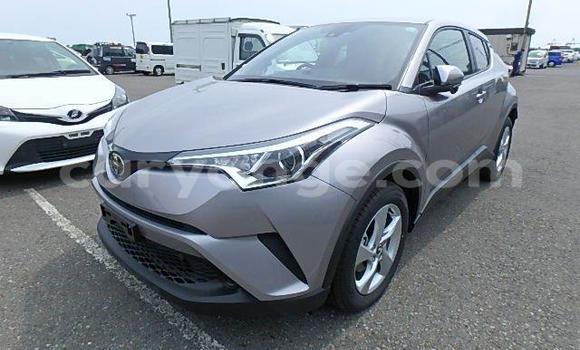 Buy Used Toyota C-HR Other Car in Arandis in Kunene Buy Used Toyota C-HR Other Car in Arandis in Kunene
