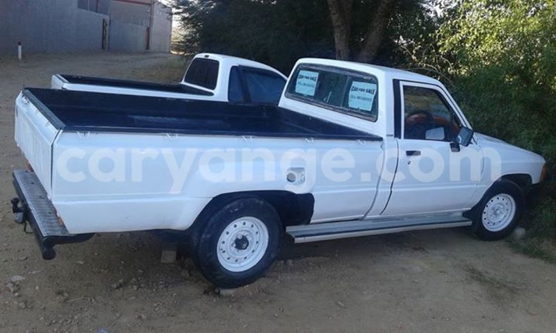 Big with watermark 13619926 999682973483857 2207529257705500965 n