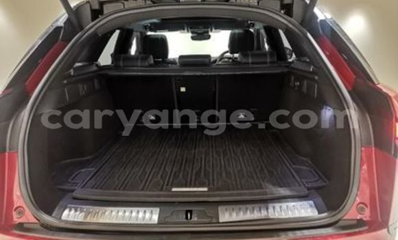 Acheter Occasion Voiture Land Rover Range Rover Velar Rouge à Windhoek, Namibie Acheter Occasion Voiture Land Rover Range Rover Velar Rouge à Windhoek, Namibie