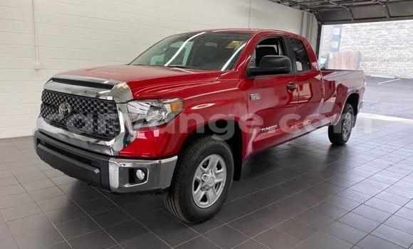 Buy Used Toyota Tundra Red Car in Windhoek in Namibia