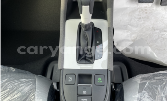 Buy Used Honda FIT Other Car in Grootfontein in Namibia Buy Used Honda FIT Other Car in Grootfontein in Namibia