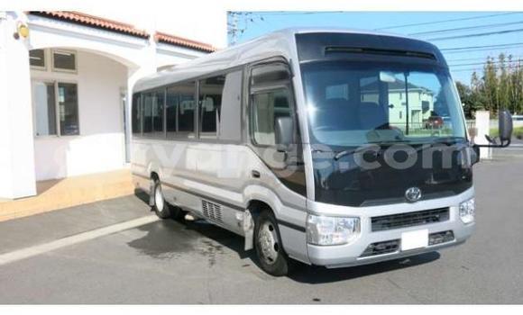 Buy Used Toyota Coaster Other Car in Arandis in Kunene