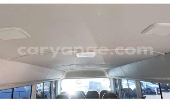 Buy Used Toyota Coaster Other Car in Arandis in Kunene Buy Used Toyota Coaster Other Car in Arandis in Kunene