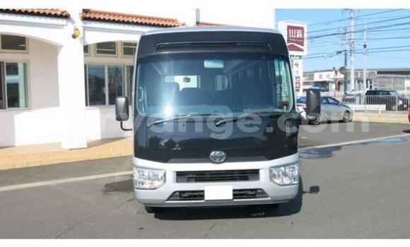 Buy Used Toyota Coaster Other Car in Arandis in Kunene Buy Used Toyota Coaster Other Car in Arandis in Kunene