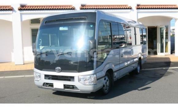 Buy Used Toyota Coaster Other Car in Arandis in Kunene Buy Used Toyota Coaster Other Car in Arandis in Kunene