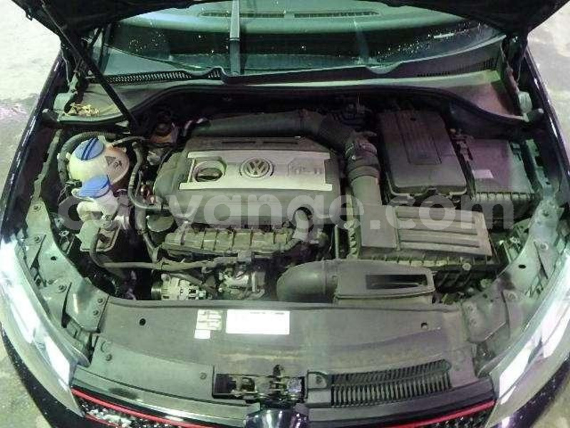 Big with watermark 11