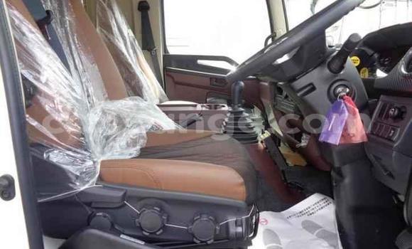 Acheter Import Utilitaire Hino Ranger Blanc à Windhoek, Namibie Acheter Import Utilitaire Hino Ranger Blanc à Windhoek, Namibie