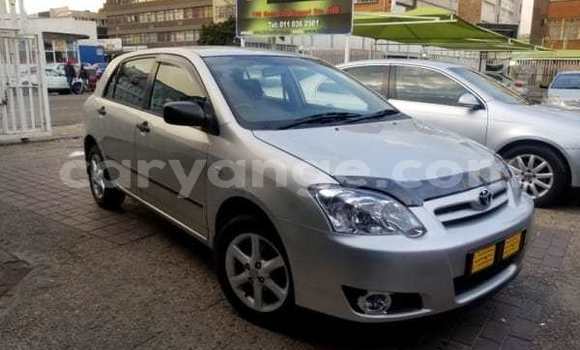 Buy Used Toyota Runx Silver Car in Walvis Bay in Namibia Buy Used Toyota Runx Silver Car in Walvis Bay in Namibia