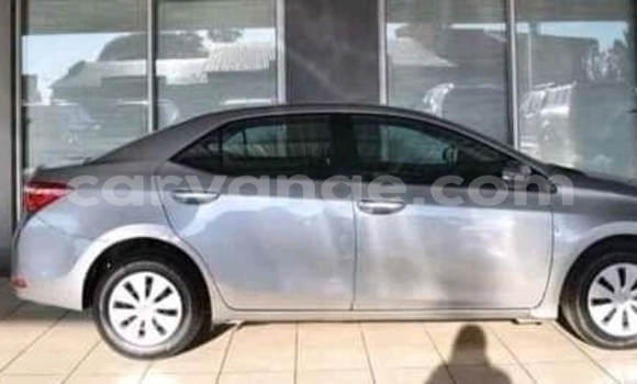 Buy Used Toyota Corolla Other Car in Katima Mulilo in Caprivi Buy Used Toyota Corolla Other Car in Katima Mulilo in Caprivi