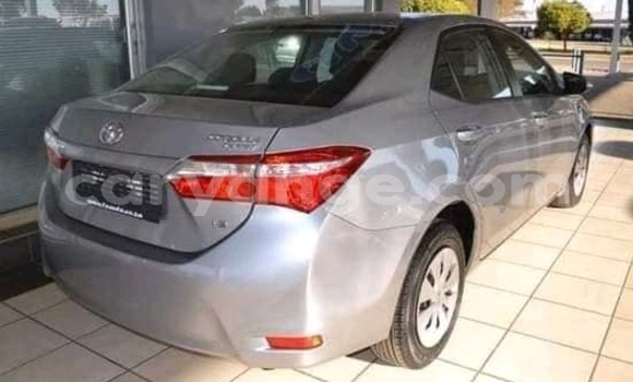 Buy Used Toyota Corolla Other Car in Katima Mulilo in Caprivi Buy Used Toyota Corolla Other Car in Katima Mulilo in Caprivi