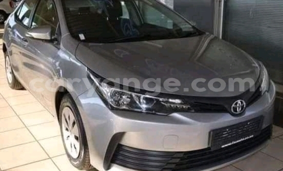 Buy Used Toyota Corolla Other Car in Katima Mulilo in Caprivi Buy Used Toyota Corolla Other Car in Katima Mulilo in Caprivi
