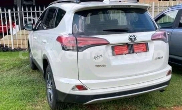 Buy Used Toyota RAV4 White Car in Windhoek in Namibia Buy Used Toyota RAV4 White Car in Windhoek in Namibia