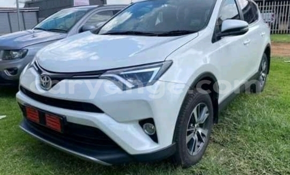 Buy Used Toyota RAV4 White Car in Windhoek in Namibia Buy Used Toyota RAV4 White Car in Windhoek in Namibia