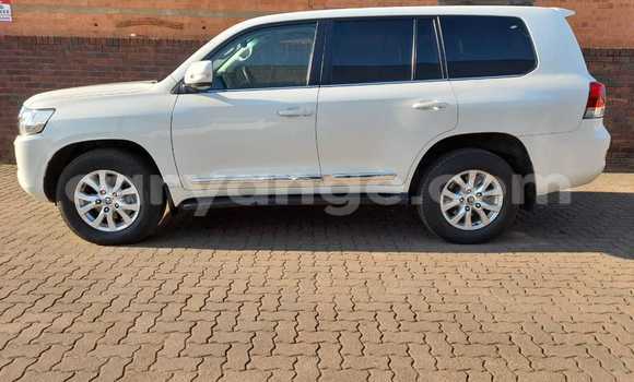 Buy Used Toyota Land Cruiser White Car in Grootfontein in Namibia
