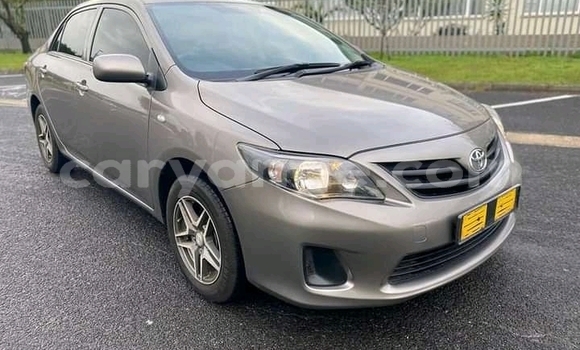 Acheter Occasion Voiture Toyota Corolla Gris à Grootfontein, Namibie Acheter Occasion Voiture Toyota Corolla Gris à Grootfontein, Namibie
