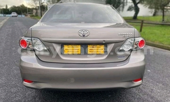 Acheter Occasion Voiture Toyota Corolla Gris à Grootfontein, Namibie Acheter Occasion Voiture Toyota Corolla Gris à Grootfontein, Namibie