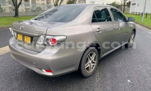 Acheter Occasion Voiture Toyota Corolla Gris à Grootfontein, Namibie Acheter Occasion Voiture Toyota Corolla Gris à Grootfontein, Namibie