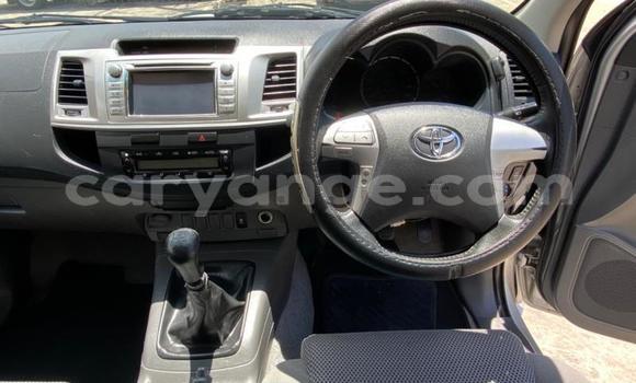Acheter Occasion Voiture Toyota Hilux Gris à Windhoek, Namibie Acheter Occasion Voiture Toyota Hilux Gris à Windhoek, Namibie