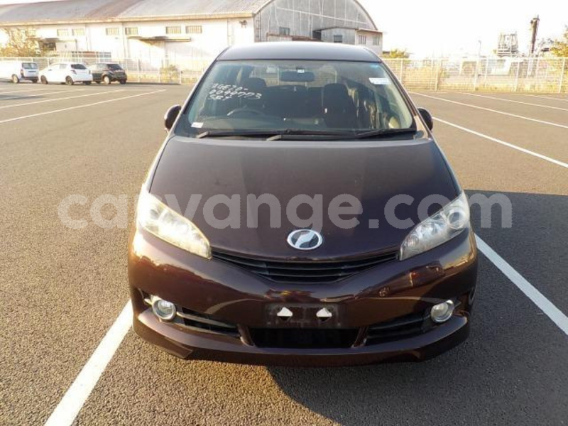 Big with watermark 1