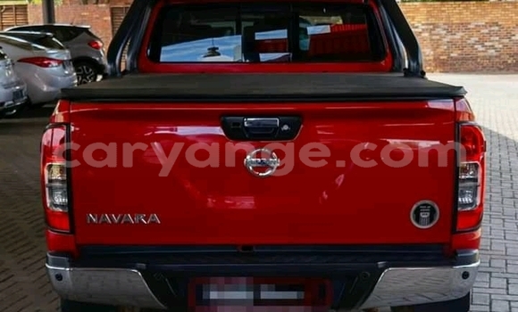 Buy Used Nissan Navara Red Car in Grootfontein in Namibia Buy Used Nissan Navara Red Car in Grootfontein in Namibia