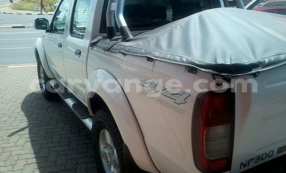 Buy Used Nissan Navara White Car in Windhoek in Namibia