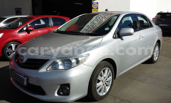 Acheter Occasion Voiture Toyota Corolla Gris à Karasburg, Karas Acheter Occasion Voiture Toyota Corolla Gris à Karasburg, Karas