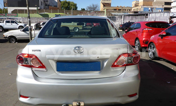 Acheter Occasion Voiture Toyota Corolla Gris à Karasburg, Karas Acheter Occasion Voiture Toyota Corolla Gris à Karasburg, Karas